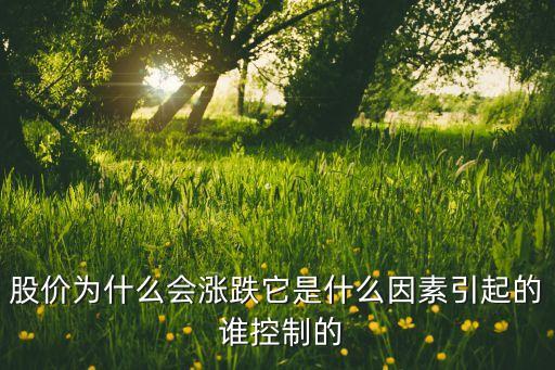 股價(jià)為什么會(huì)漲跌它是什么因素引起的 誰控制的