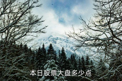 股票大盤多少c，本日股票大盤多少點