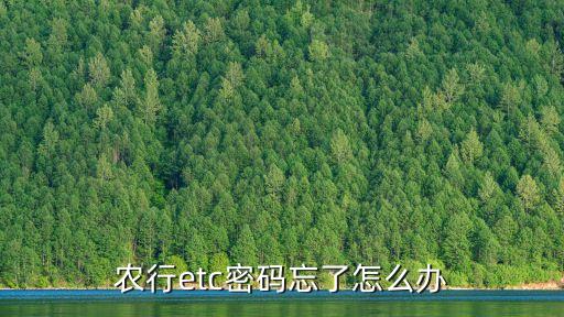 農(nóng)行etc密碼忘了怎么辦