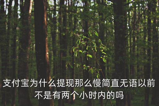 為什么支付寶提現(xiàn)這么慢，為什么支付寶賬戶余額提現(xiàn)這么慢