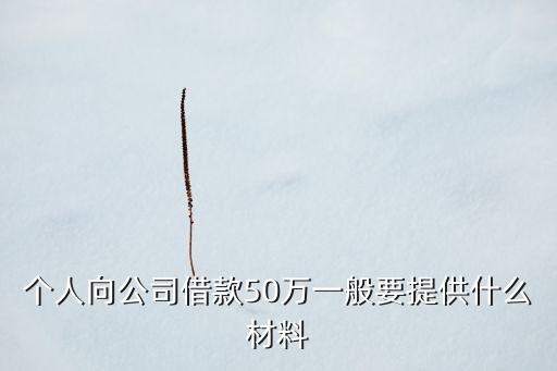 個(gè)人向公司借款50萬一般要提供什么材料