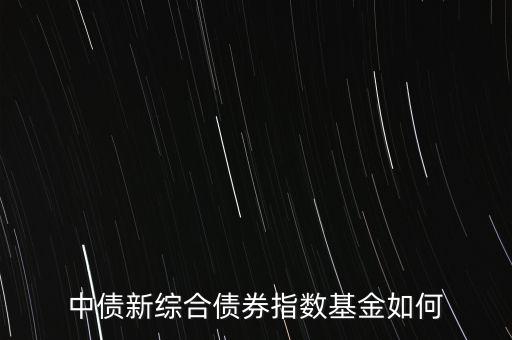 中債新綜合債券指數(shù)基金如何