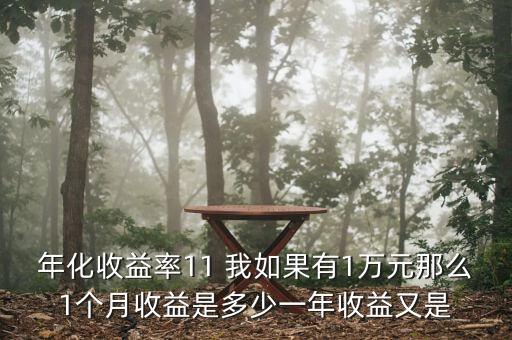 炎黃匯利收益率是多少，年化收益率11 我如果有1萬元那么1個月收益是多少一年收益又是