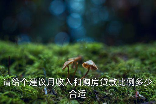請給個建議月收入和購房貸款比例多少合適