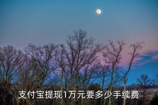支付寶提現(xiàn)1萬元要多少手續(xù)費(fèi)