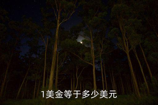 一美金兌換多少美元，一美金等于多少美元