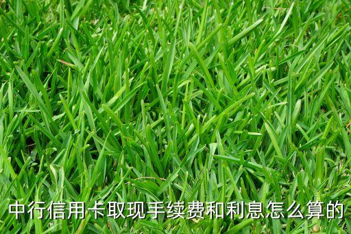 中行信用卡取現(xiàn)手續(xù)費(fèi)和利息怎么算的