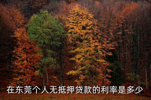 在東莞個人無抵押貸款的利率是多少