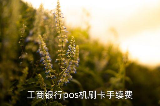 工商銀行pos機刷卡手續(xù)費