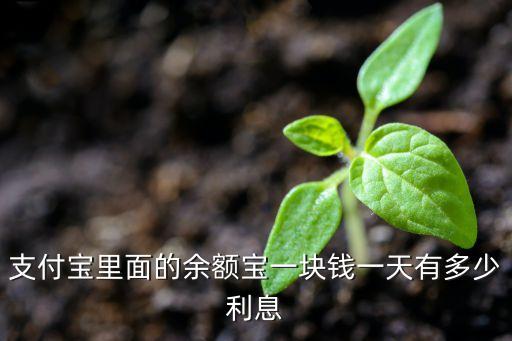 余額寶一元一天收益多少，如果存100塊錢到余額寶一天收益多少