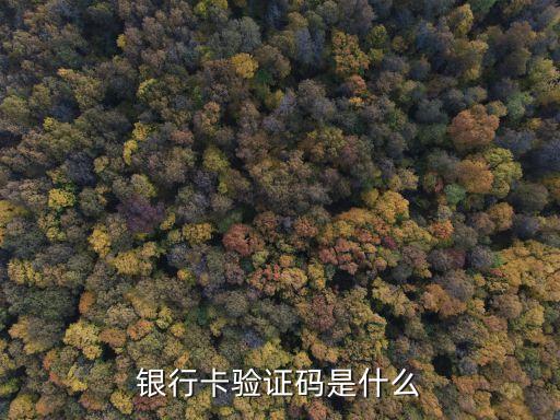 銀行卡驗證碼是什么