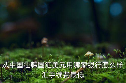 從中國(guó)往韓國(guó)匯美元用哪家銀行怎么樣匯手續(xù)費(fèi)最低