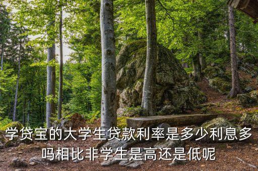 學(xué)貸寶的大學(xué)生貸款利率是多少利息多嗎相比非學(xué)生是高還是低呢