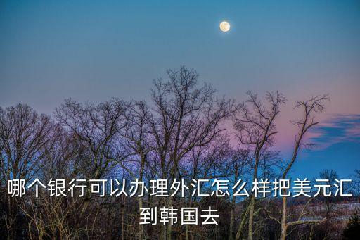 哪個(gè)銀行可以辦理外匯怎么樣把美元匯到韓國(guó)去