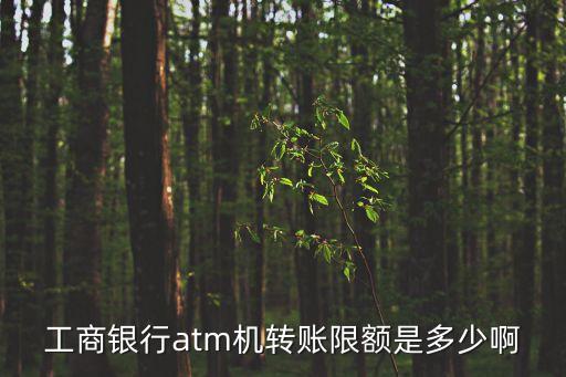 工商銀行atm機轉賬限額是多少啊