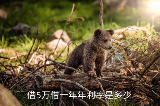 借5萬借一年年利率是多少