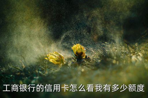 工商銀行的信用卡怎么看我有多少額度