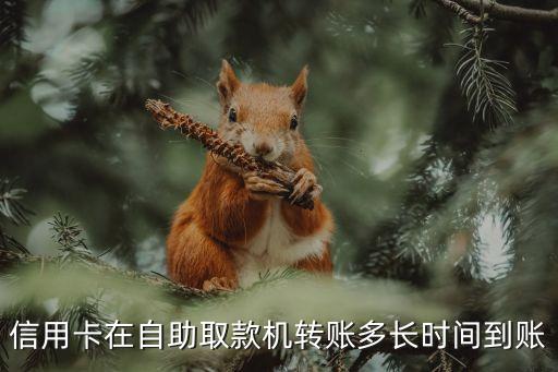 信用卡在自助取款機(jī)轉(zhuǎn)賬多長(zhǎng)時(shí)間到賬