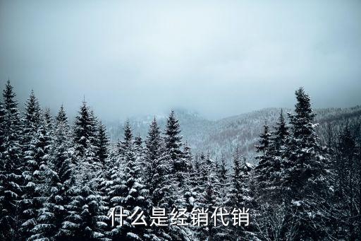 代銷是什么關(guān)系，代理代銷各指什么