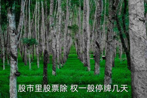 股市里股票除 權(quán)一般停牌幾天