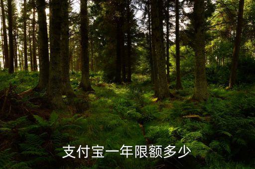 支付寶一年限額多少