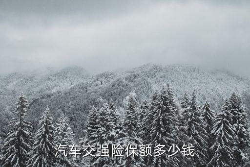 汽車交強險保額多少錢