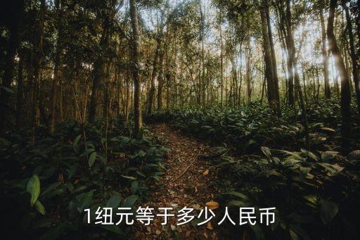 1紐元等于多少人民幣