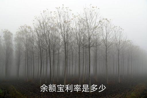 余額寶利率是多少