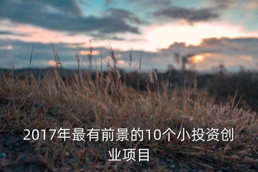 2017年最有前景的10個(gè)小投資創(chuàng)業(yè)項(xiàng)目
