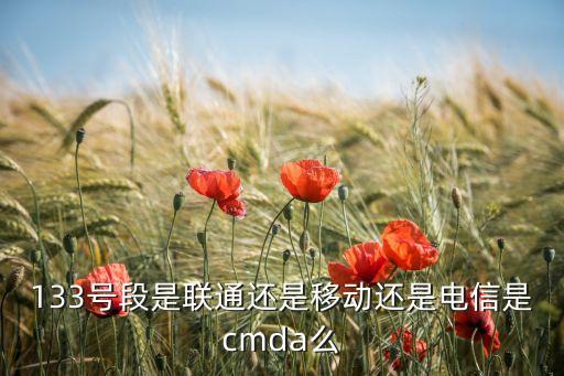 133號(hào)段是聯(lián)通還是移動(dòng)還是電信是cmda么