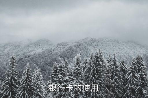 銀行卡的使用