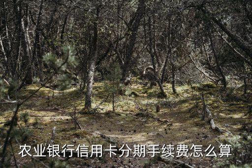農(nóng)業(yè)銀行信用卡分期手續(xù)費怎么算