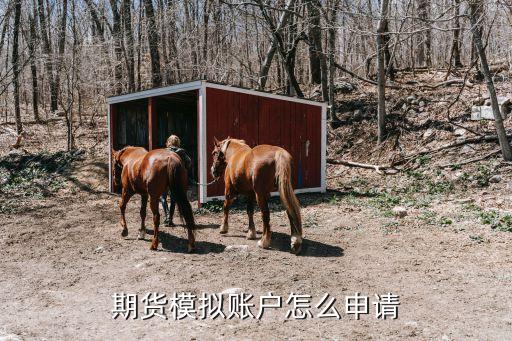 申請模擬賬戶什么意思，什么是模擬操作賬戶