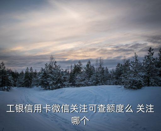 工銀信用卡微信關注可查額度么 關注哪個