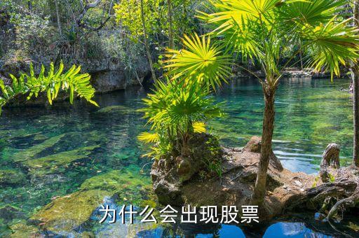 為什么會(huì)出現(xiàn)股票