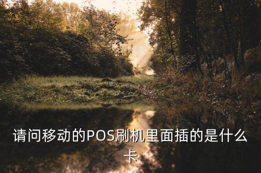 請問移動的POS刷機里面插的是什么卡