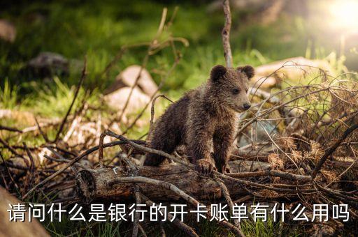 請(qǐng)問什么是銀行的開卡賬單有什么用嗎