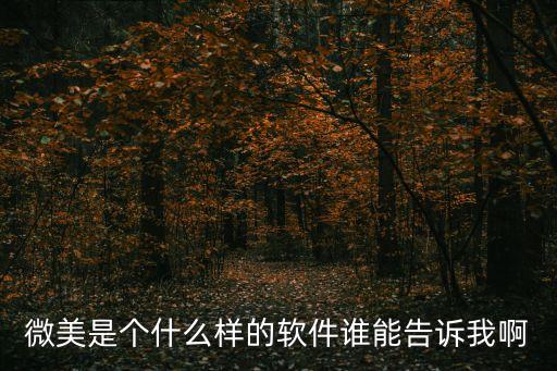 微美是個(gè)什么樣的軟件誰能告訴我啊