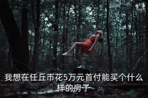 我想在任丘市花5萬(wàn)元首付能買(mǎi)個(gè)什么樣的房子