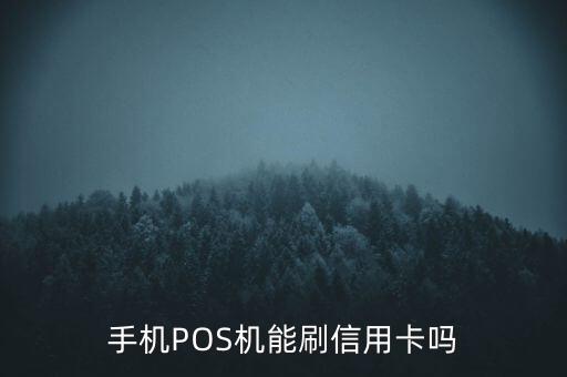 手機(jī)POS機(jī)能刷信用卡嗎