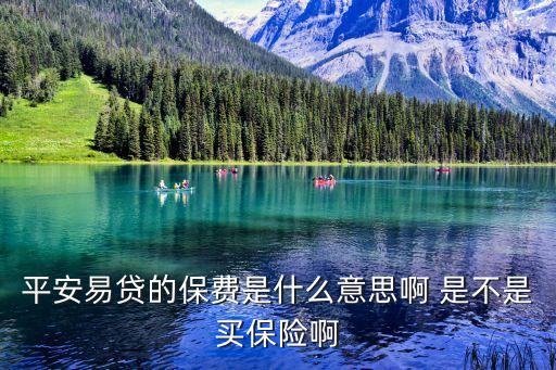平安易貸的保費(fèi)是什么意思啊 是不是買保險(xiǎn)啊