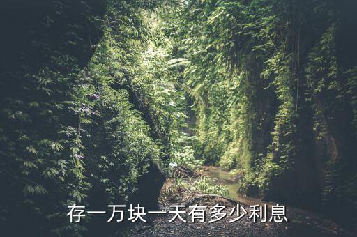 存一萬塊一天有多少利息