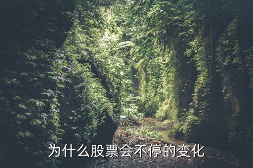 股票為什么，股價(jià)為什么會(huì)漲跌它是什么因素引起的 誰(shuí)控制的