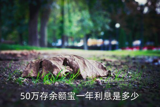 50萬(wàn)存余額寶一年利息是多少