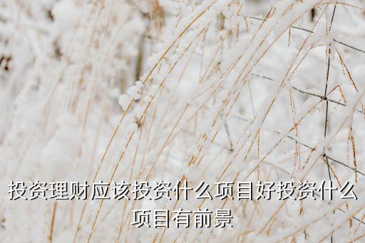 投資理財(cái)應(yīng)該投資什么項(xiàng)目好投資什么項(xiàng)目有前景