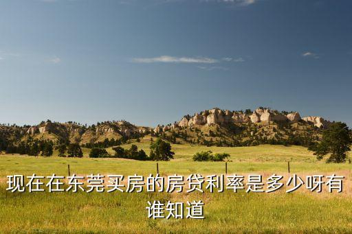 東莞貸款利率是多少錢，現(xiàn)在東莞銀行貸款10萬一年利息是多少啊