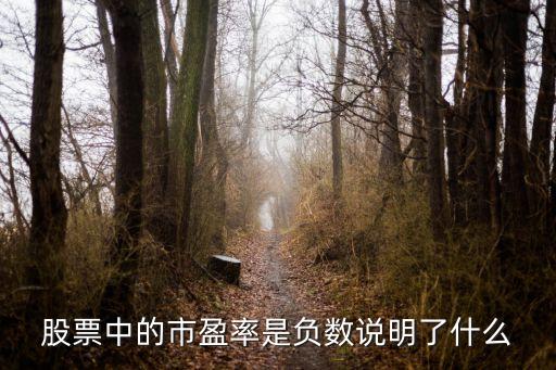 股票中的市盈率是負(fù)數(shù)說明了什么