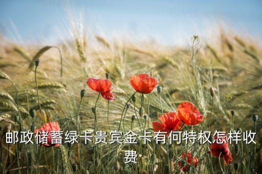 郵政儲蓄綠卡貴賓金卡有何特權怎樣收費