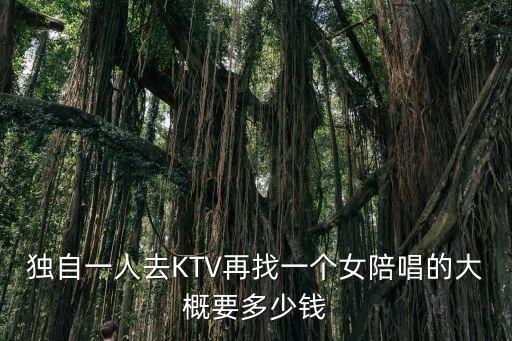 獨(dú)自一人去KTV再找一個(gè)女陪唱的大概要多少錢