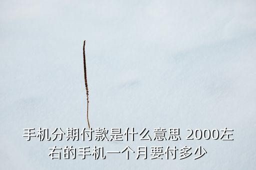 手機(jī)分期付款是什么意思 2000左右的手機(jī)一個月要付多少